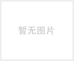 汽车中间涂料用电导率调整助剂BYK-ES80